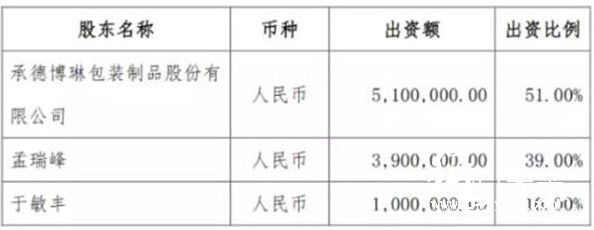 各主要投資人的投資規模和持股比例