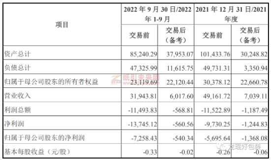 濱海能源的主要財務指標